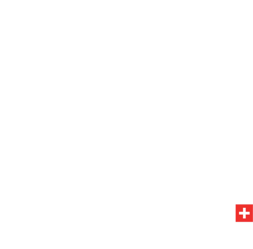 Umzugsservice Zürich GmbH logo